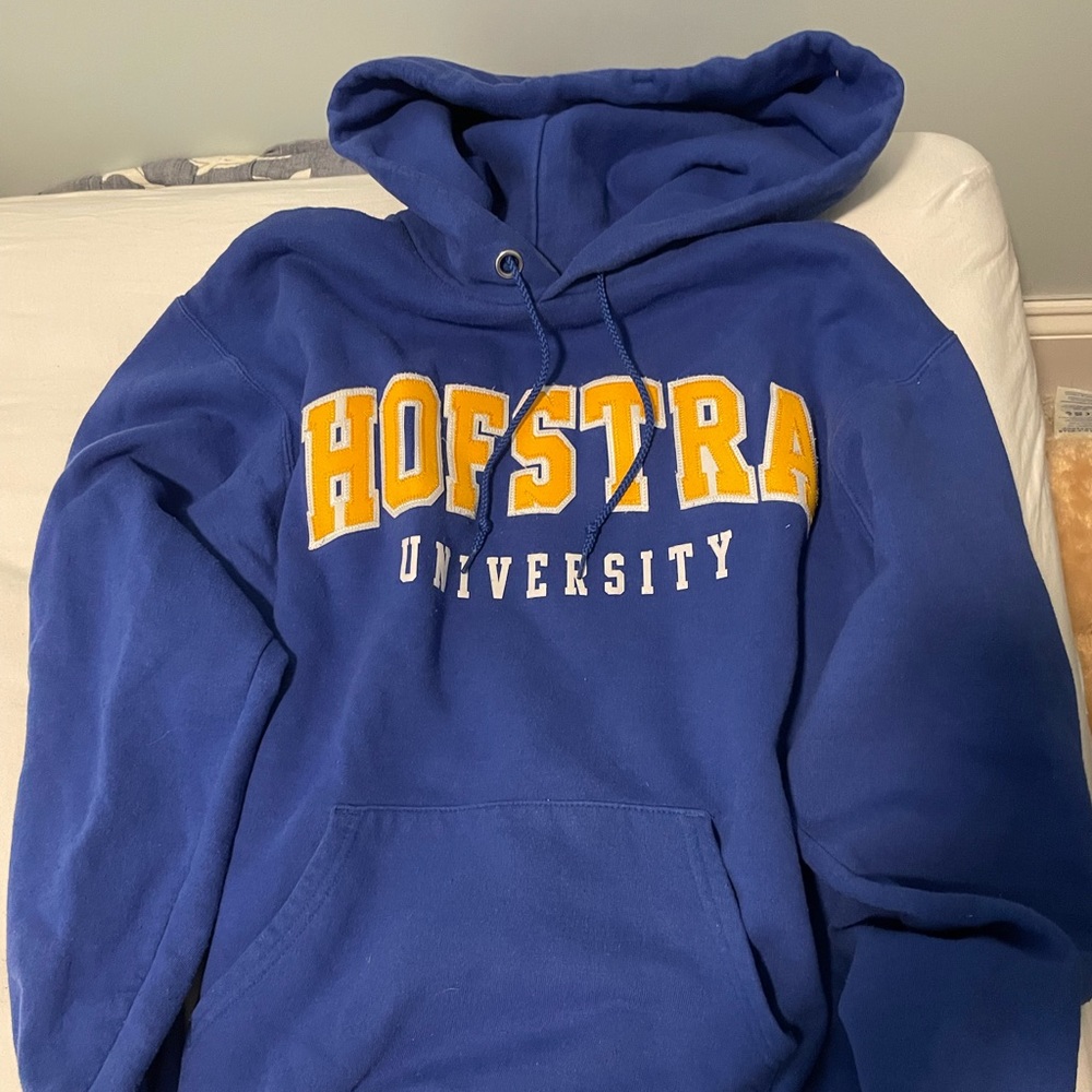 Hofstra University sweatshirt - vintage 2005